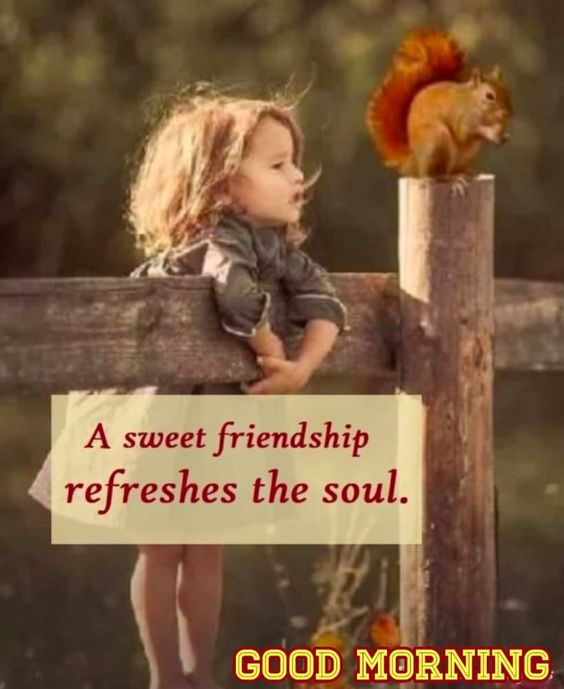 good morning happy friendship day images